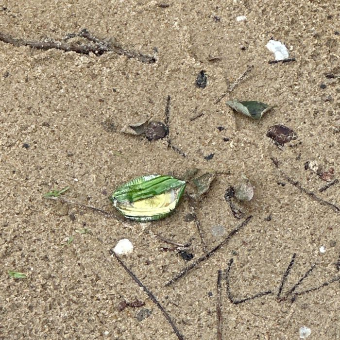  보령시.동네.쓰레기.플로깅