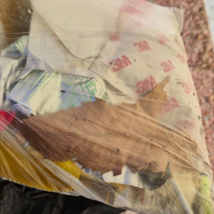  창원시.동네.쓰레기.플로깅