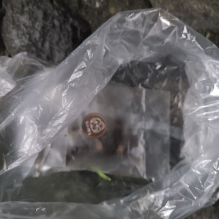 창원시.동네.쓰레기.플로깅