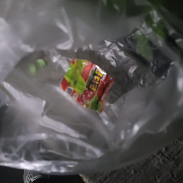 창원시.동네.쓰레기.플로깅