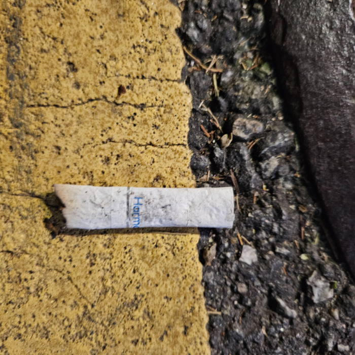 서울강남구.동네.쓰레기.플로깅