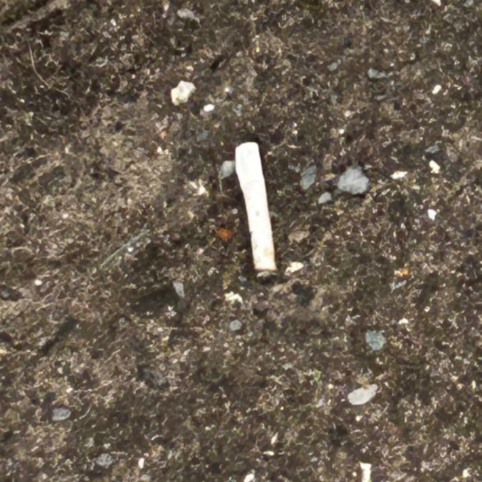 창원시.동네.쓰레기.플로깅