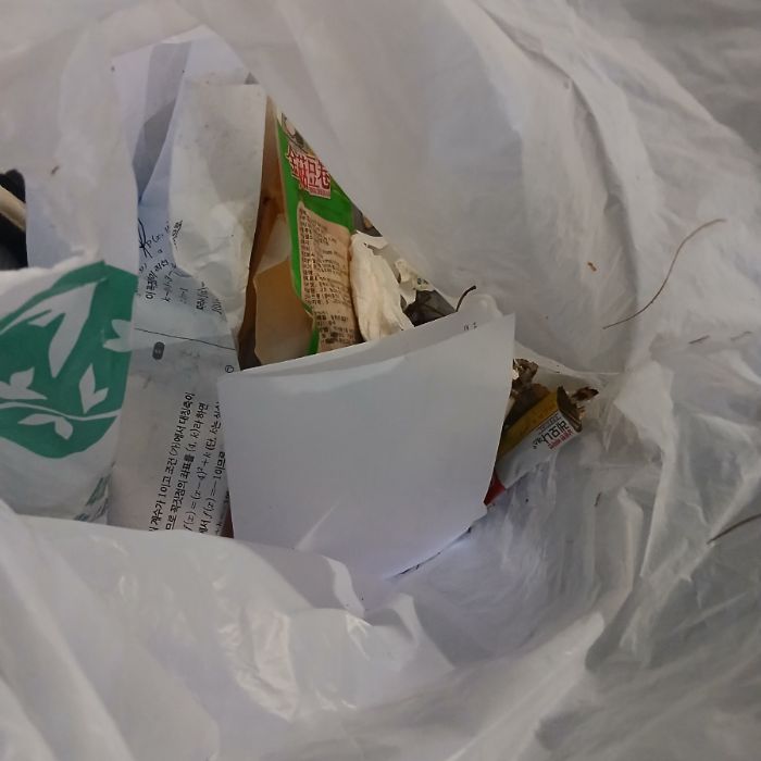  파주시.동네.쓰레기.플로깅