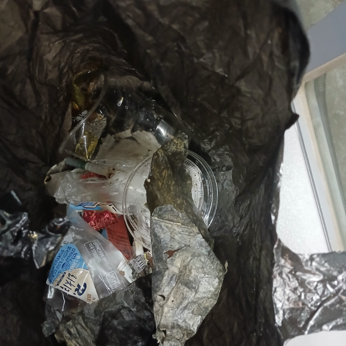  파주시.동네.쓰레기.플로깅