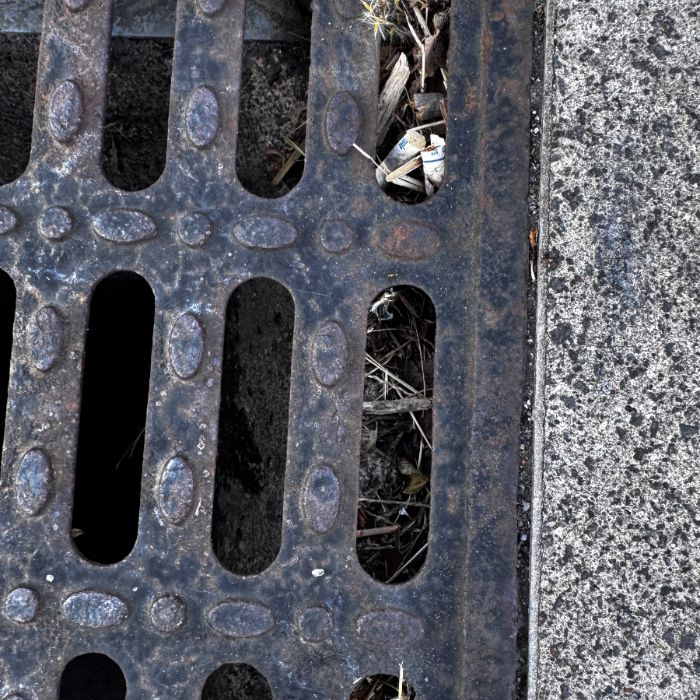  서귀포시.동네.쓰레기.플로깅