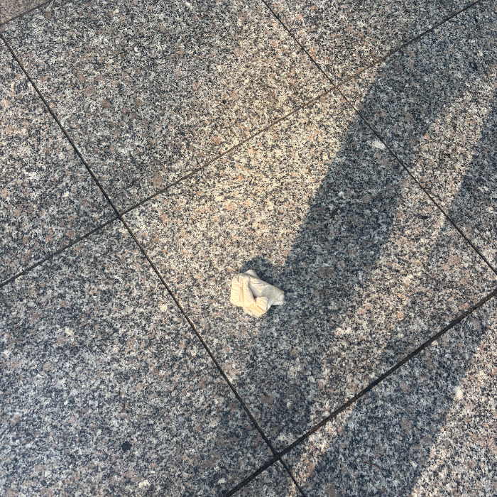  서울강남구.동네.쓰레기.플로깅