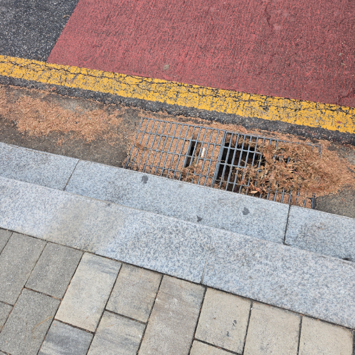  서울강남구.동네.쓰레기.플로깅