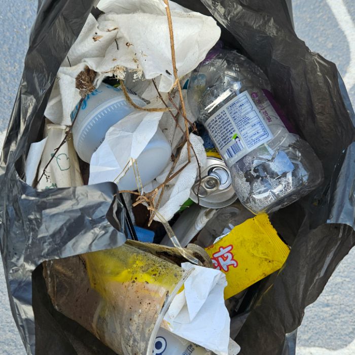  거제시.동네.쓰레기.플로깅