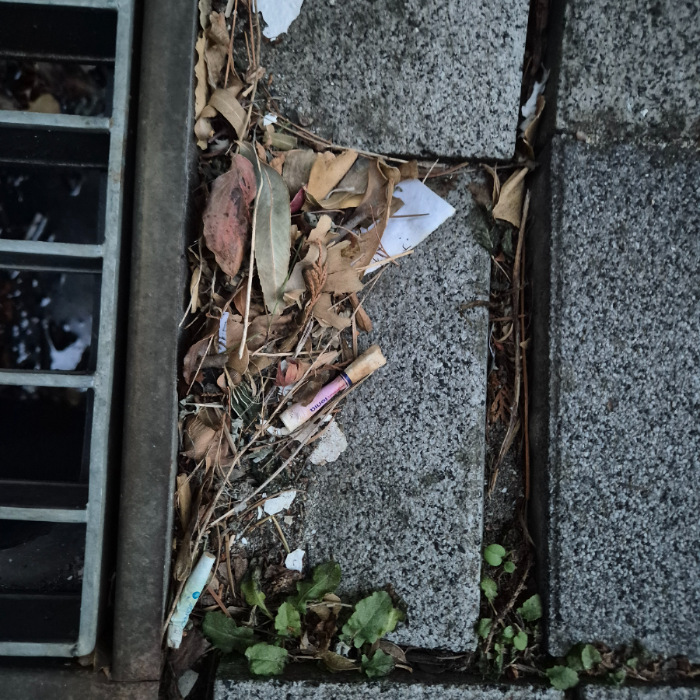  강릉시.동네.쓰레기.플로깅