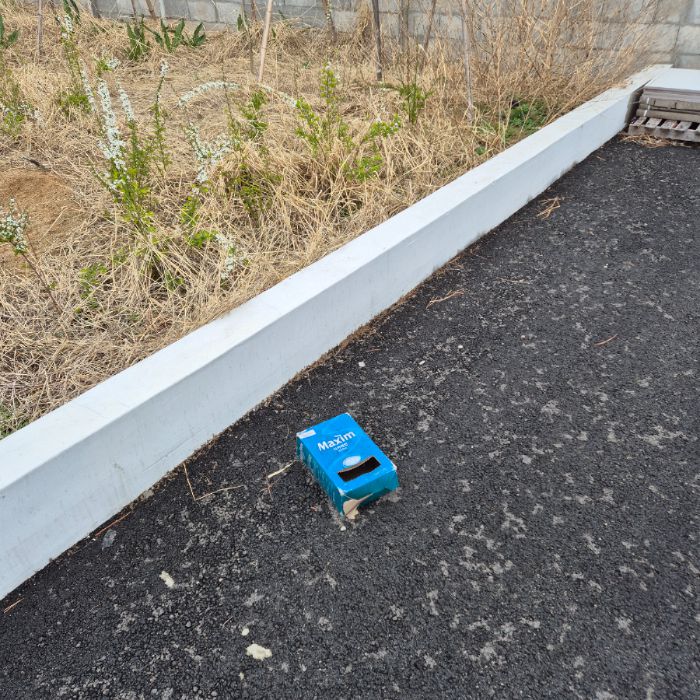  강릉시.동네.쓰레기.플로깅