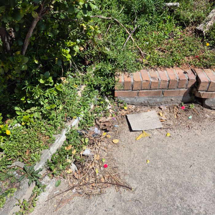  강릉시.동네.쓰레기.플로깅