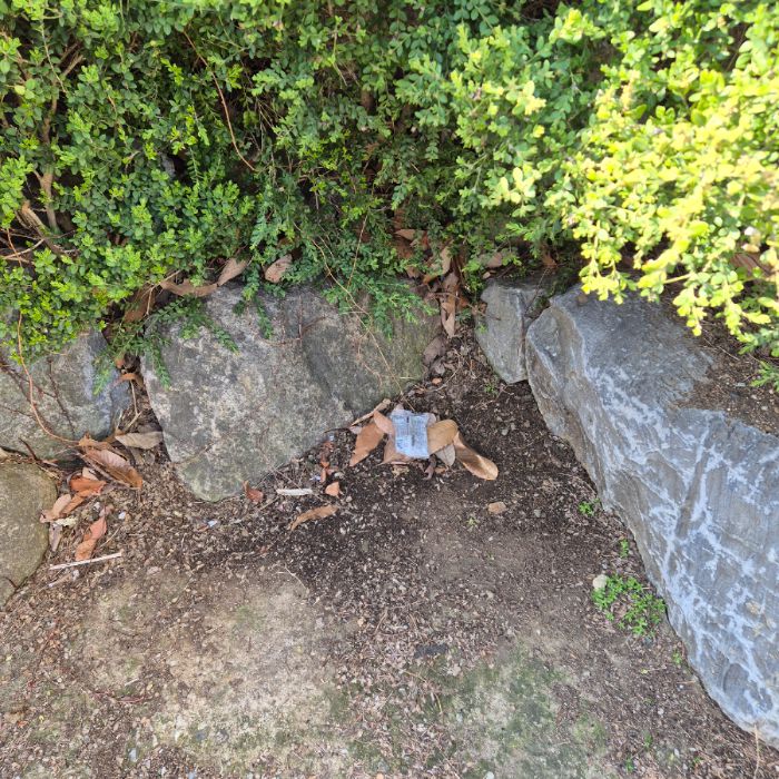  동해시.동네.쓰레기.플로깅