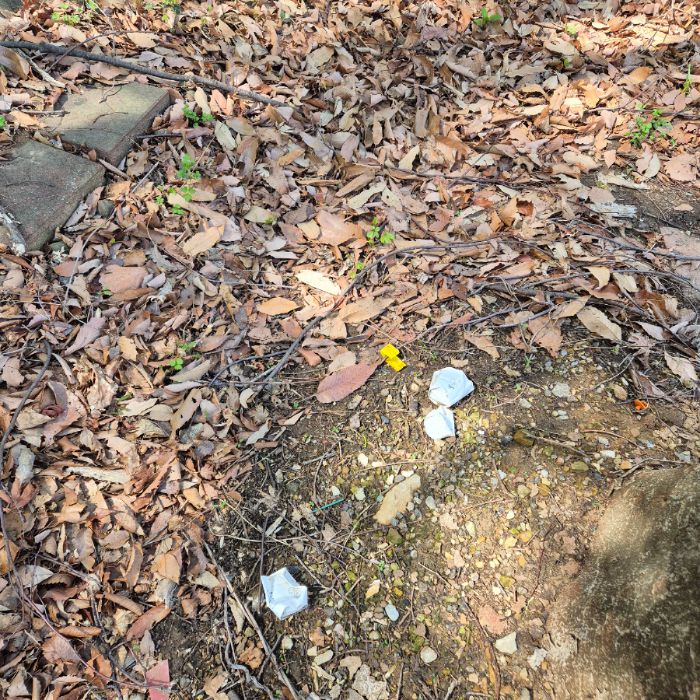  동해시.동네.쓰레기.플로깅