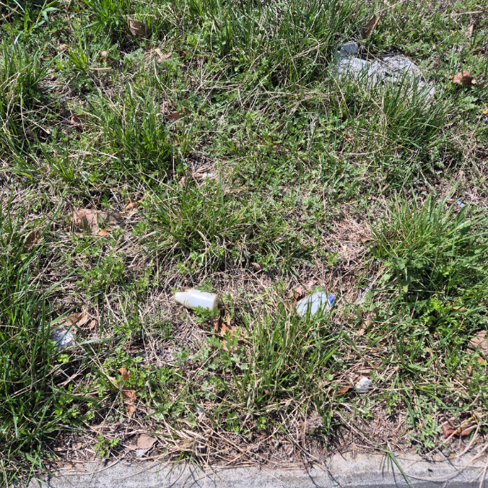  강릉시.동네.쓰레기.플로깅