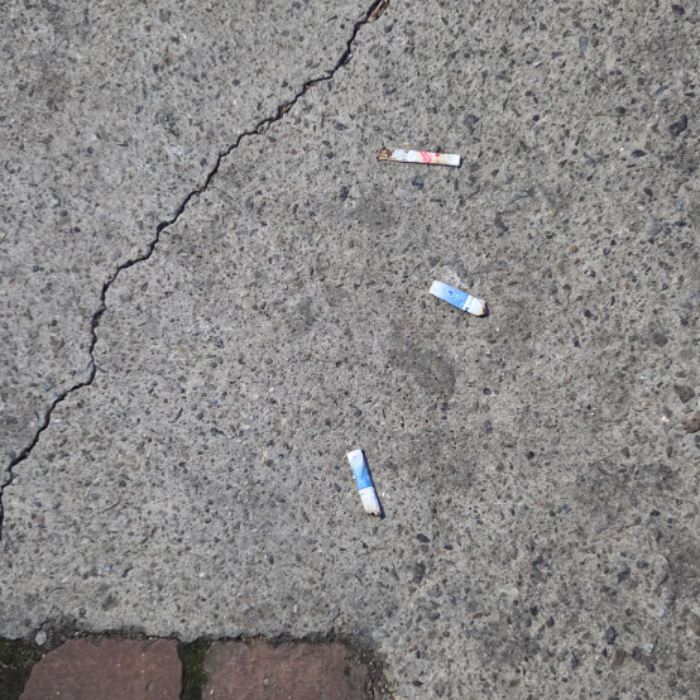  서울강남구.동네.쓰레기.플로깅