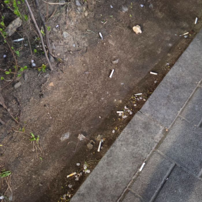  서울강남구.동네.쓰레기.플로깅