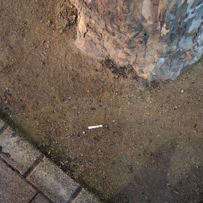  서울강남구.동네.쓰레기.플로깅