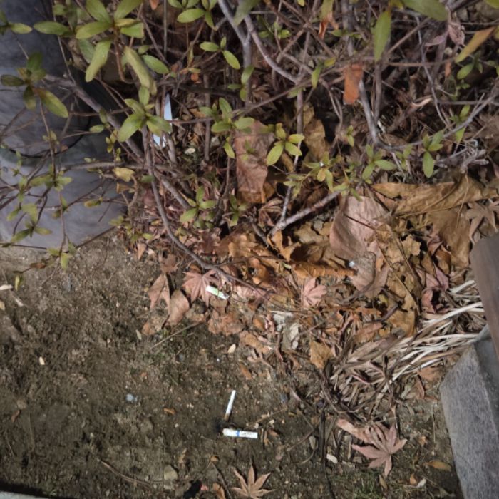  서울강남구.동네.쓰레기.플로깅