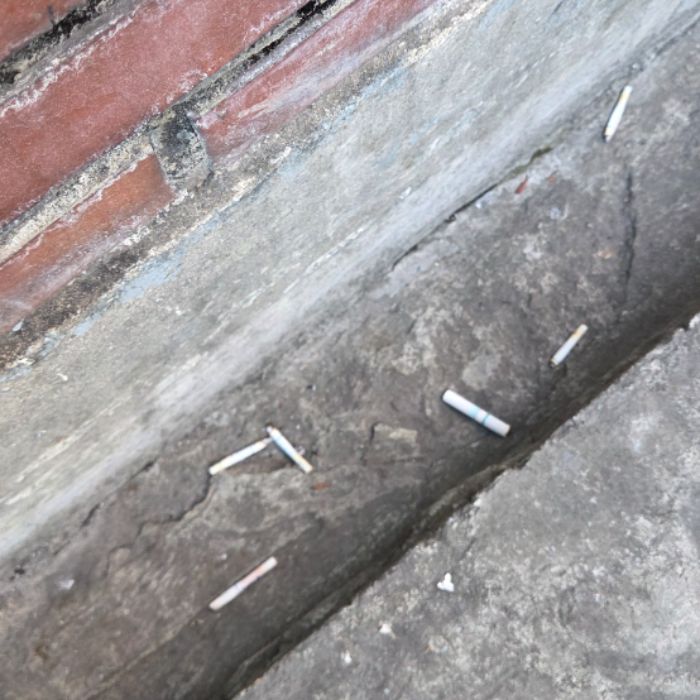  서울강남구.동네.쓰레기.플로깅