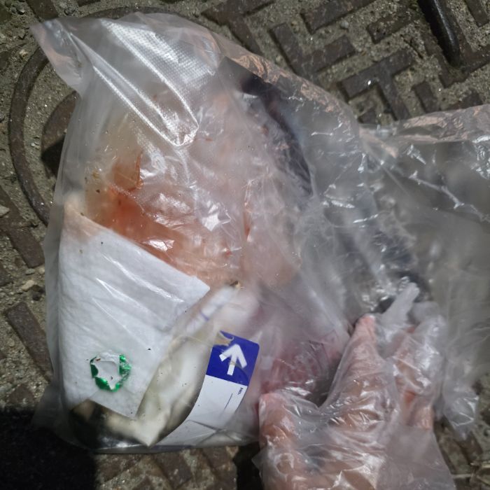  춘천시.동네.쓰레기.플로깅