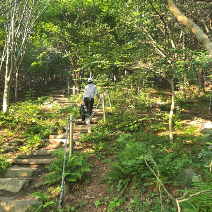  창원시.동네.쓰레기.플로깅