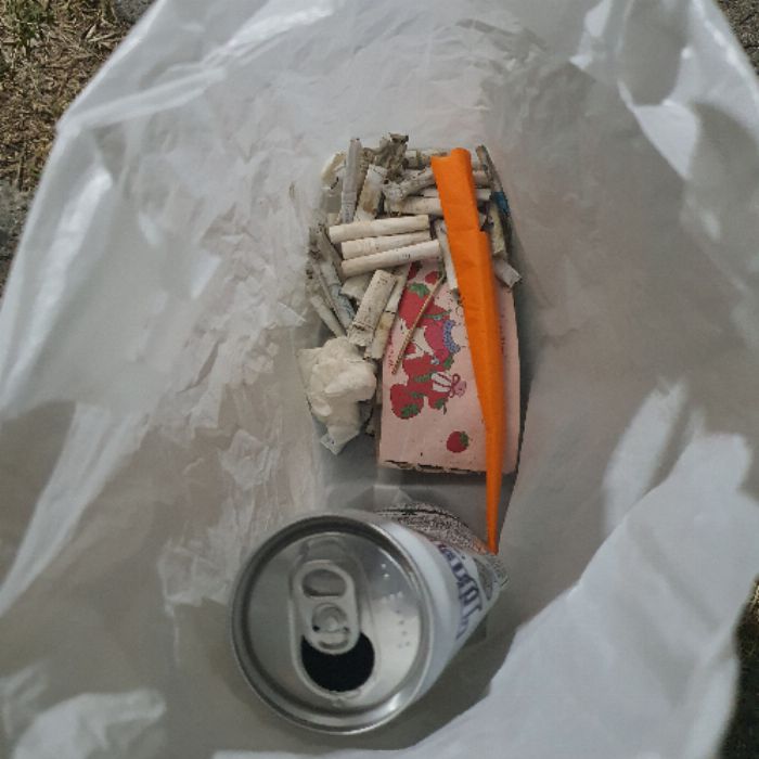  안동시.동네.쓰레기.플로깅