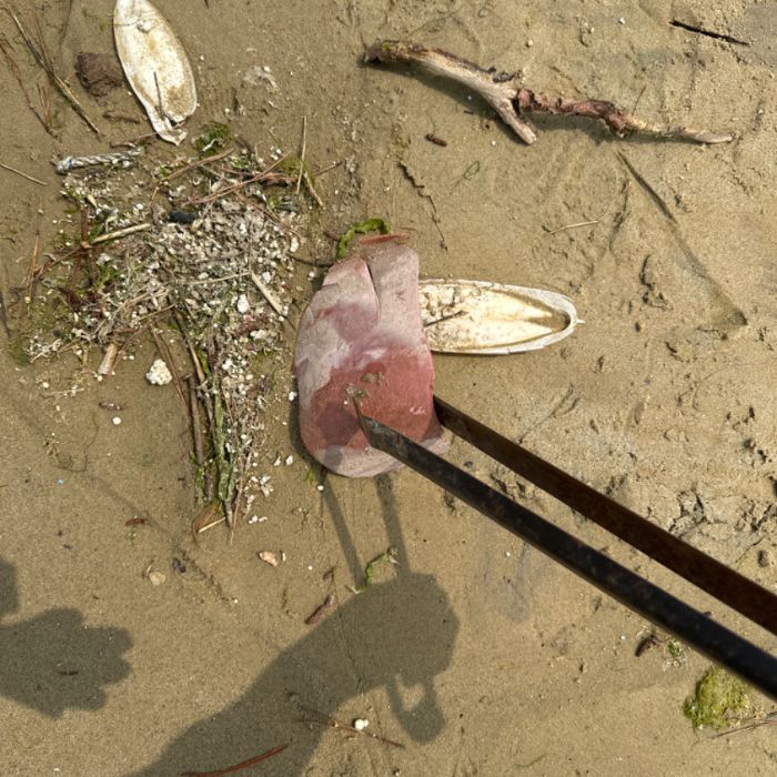  서천군.동네.쓰레기.플로깅