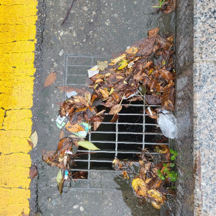  용인시.동네.쓰레기.플로깅