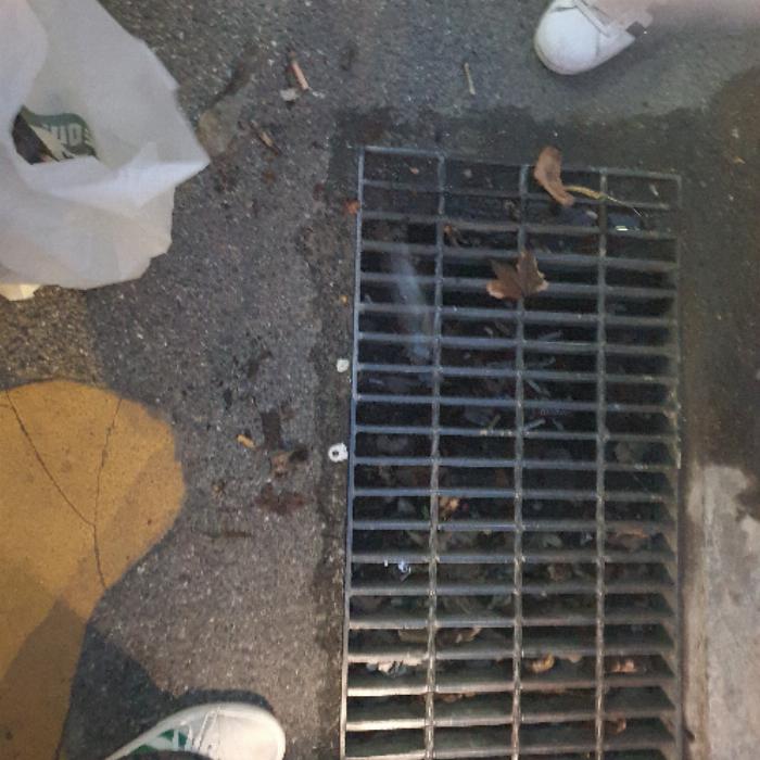 서울종로구.빗물받이.담배꽁초.직접청소