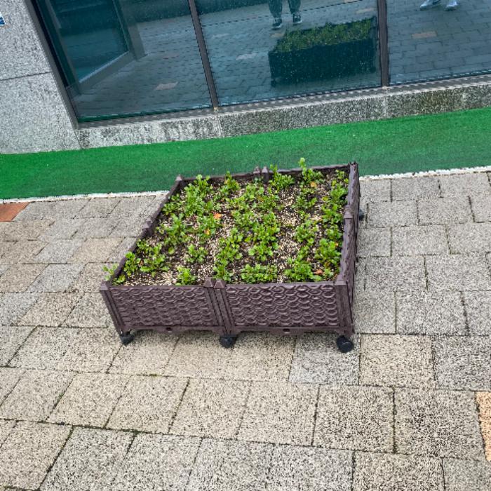 양산시.빗물받이.담배꽁초.직접청소